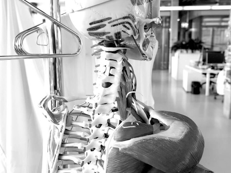 Scull high 04 Scull high 04